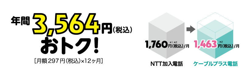 年間3,564円おトク![月額297円×12ヶ月]