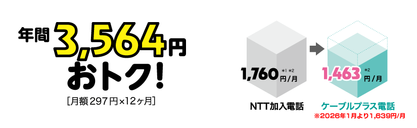 年間3,564円おトク![月額297円×12ヶ月]