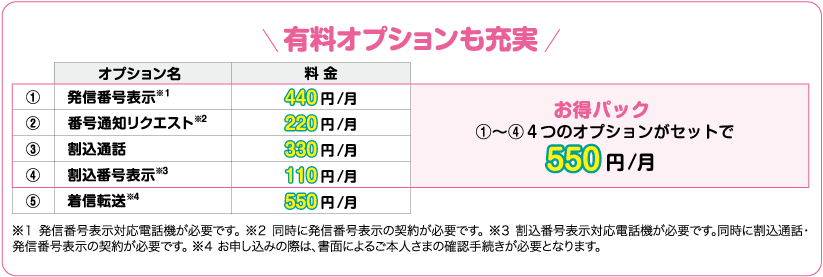 画像:有料オプションも充実！