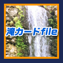 滝カードfile