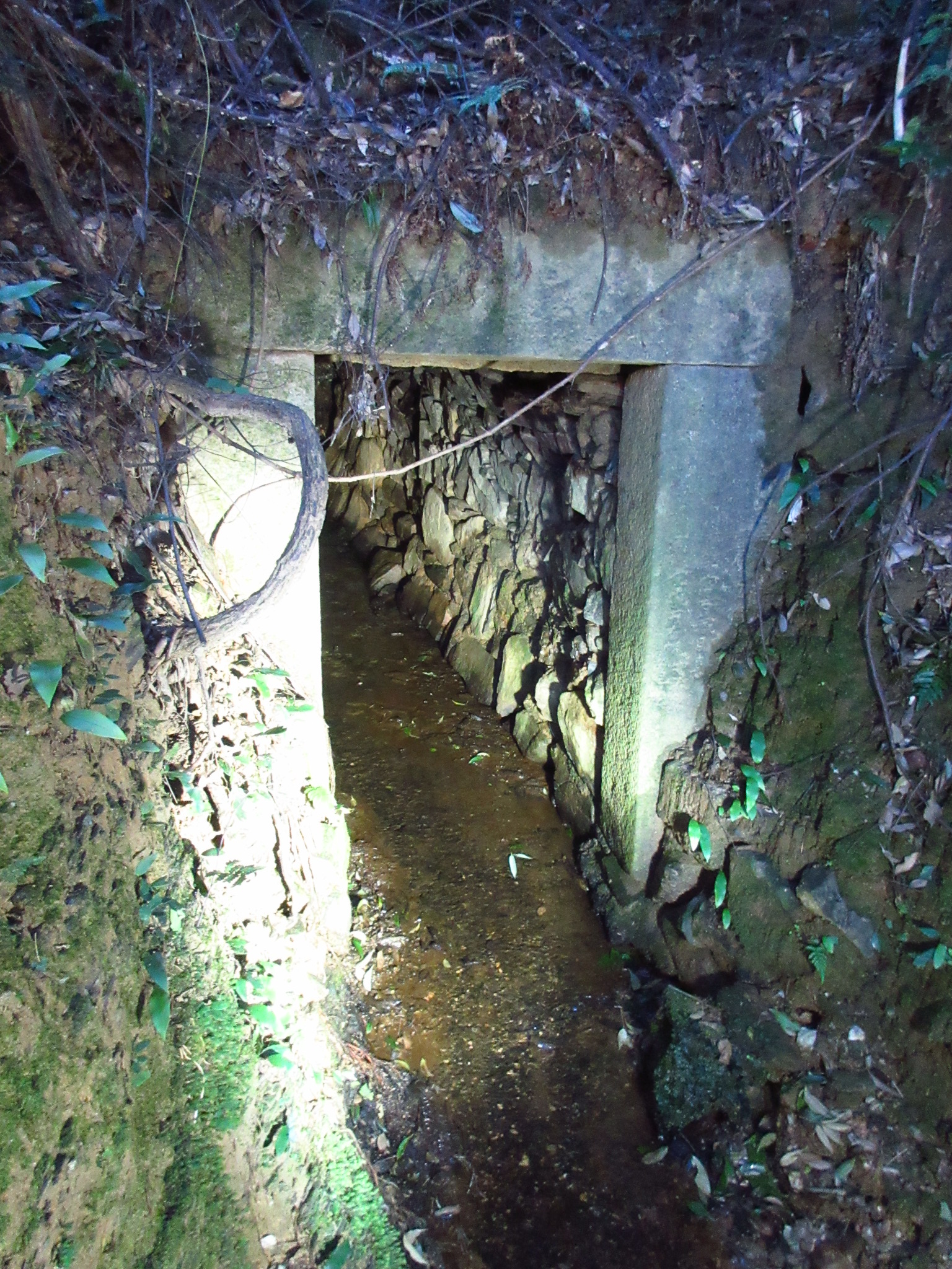 画像：椎の木峠トンネル 外観