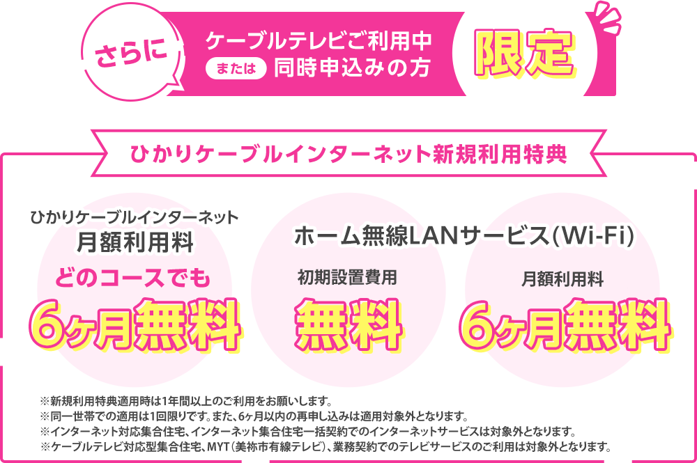 さらにケーブルテレビご利用中または同時申込みの方限定　ひかりケーブルインターネット新規利用特典　ひかりケーブル
                インターネット月額利用料6ヶ月無料　ホーム無線LANサービス初期設備費用(3,300円)無料　月額利用料(110円)6ヶ月無料