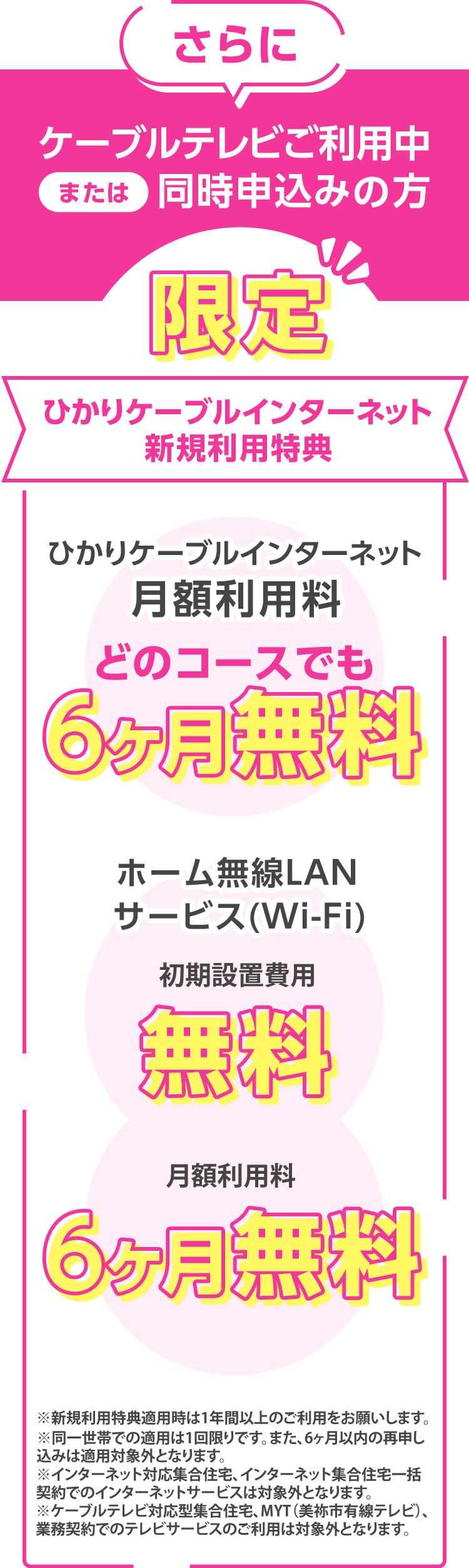 さらにケーブルテレビご利用中または同時申込みの方限定　ひかりケーブルインターネット新規利用特典　ひかりケーブル
                インターネット月額利用料6ヶ月無料　ホーム無線LANサービス初期設備費用(3,300円)無料　月額利用料(110円)6ヶ月無料